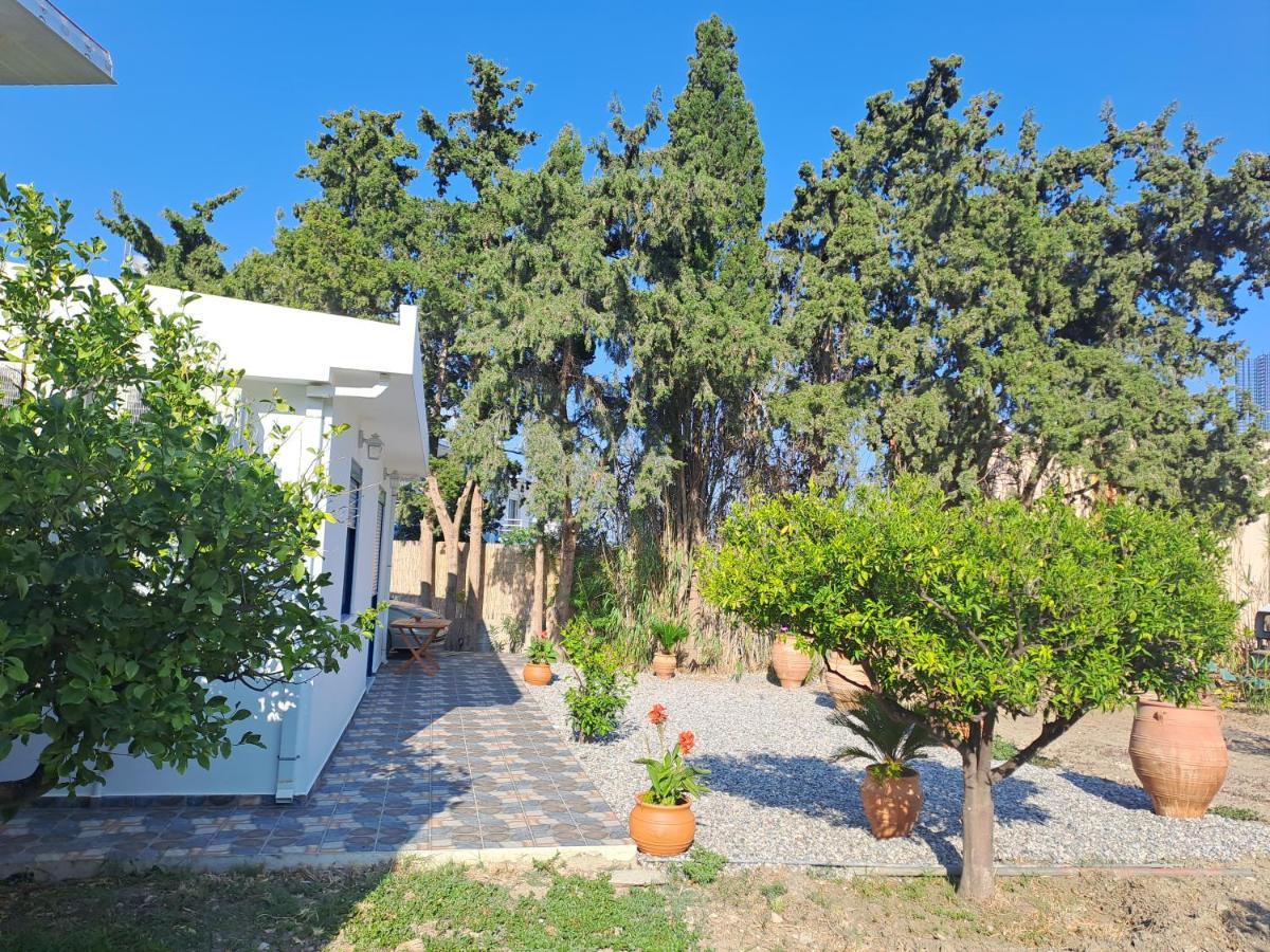 Villa Deja Blue Archangelos  Exterior foto